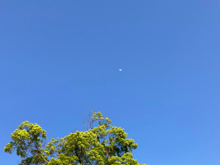 2026.4.25#Astro・Ajuga#西洋占星学#アジュガの星のコトバ#星とひとをつなぐコトバ