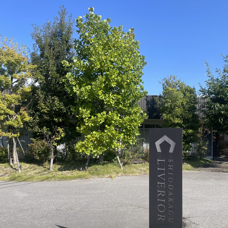 長野県　松本市　安曇野市　建築設計事務所　建築家　news設計室　丸山和男　住宅設計　上田市　島内の家Ⅲ　塩田家具リヴリア