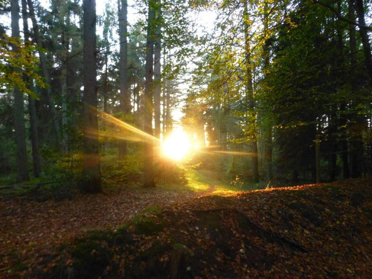 Lichtweg