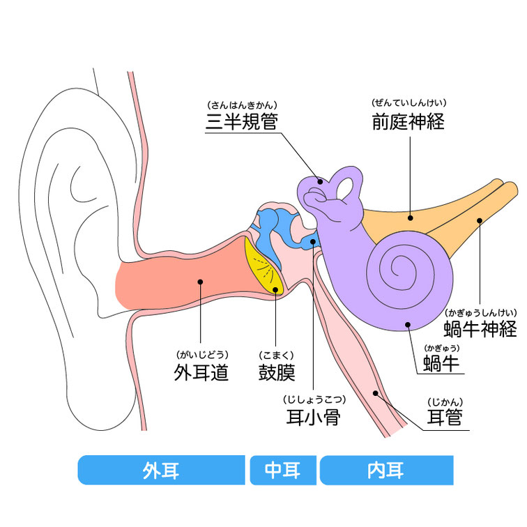 聞こえについて