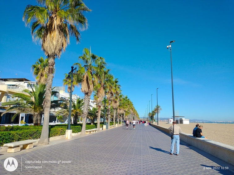 El Paseo Marítimo de la Malvarrosa es una avenida peatonal de Valencia que bordea la playa de la Malvarrosa, uniendo la zona de la Marina con las playas de Las Arenas y la Patacona.