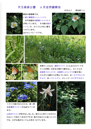 過去の資料 横浜市天王森泉公園 公式ホームページ