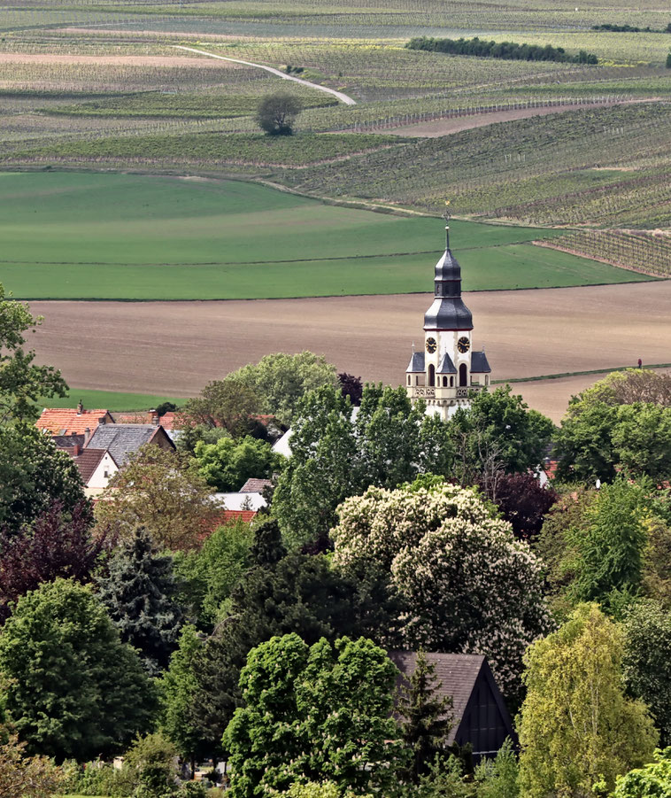 Saulheim Rheinhessen