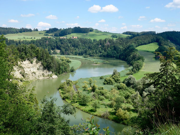 Singletrail memmingen