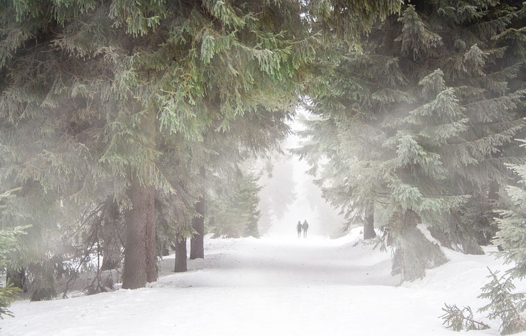 Regelmäßige Bewegung beugt Winterspeck vor. Am besten täglich und an der frischen Luft.