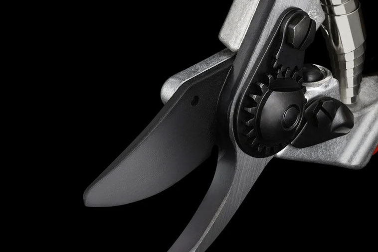 Sécateur cuir premium
