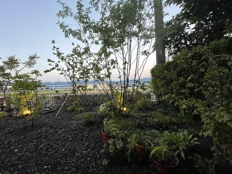 長野県　松本市　建築設計事務所　建築家　news設計室　丸山和男　好きな花　news設計室新事務所　外構植栽　水やり