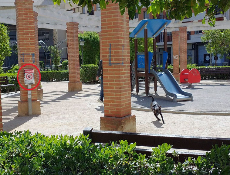 En Valencia ciudad,  da igual los carteles y  leyes,  si no se les obliga a cumplir con la ley a base de castigos económicos.