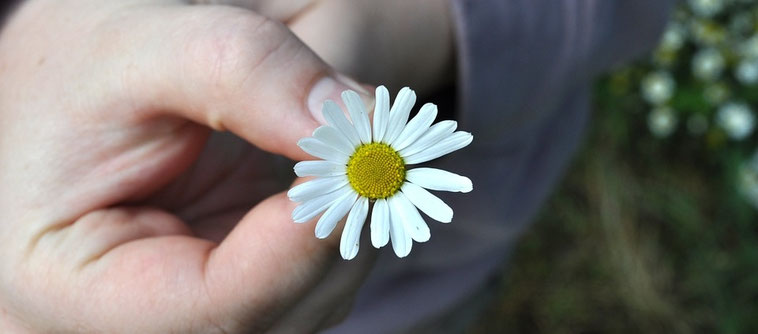 Site de blandine-milly !