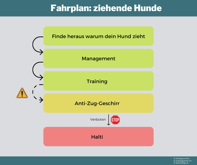 Fahrplan: ziehende Hunde