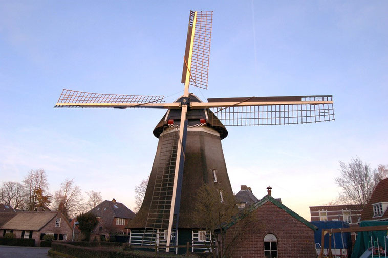 Foto van de Larense molen in het voorjaar