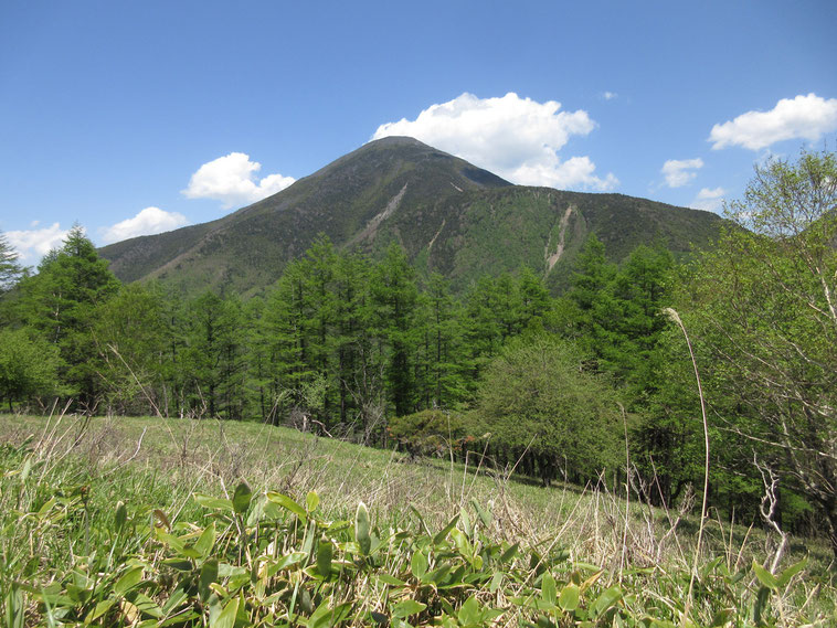 写真はドドーンと蓼科山！