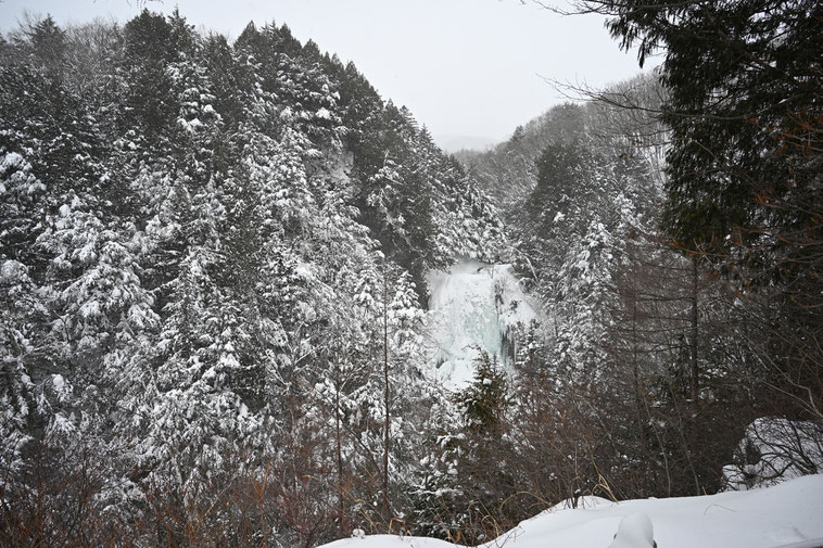 乗鞍高原　善五郎の滝　氷爆
