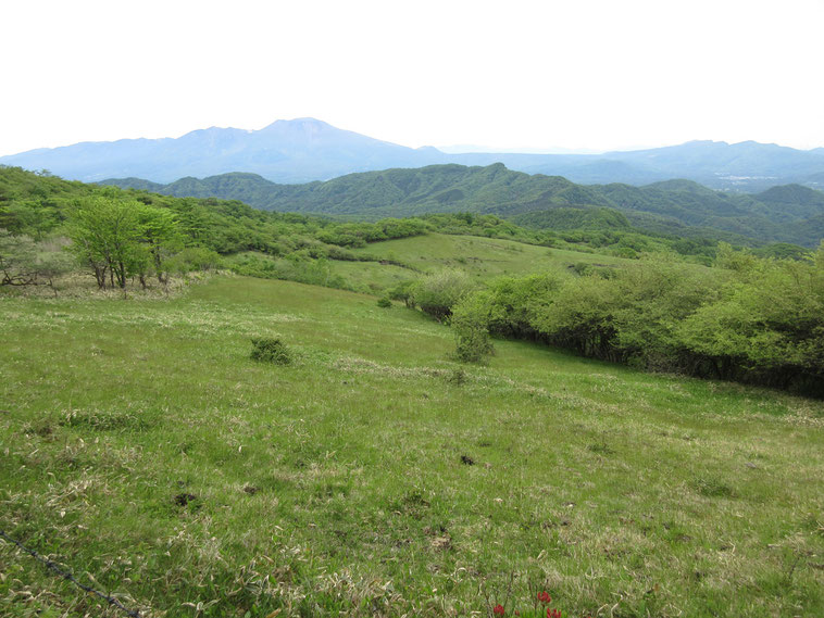 　　　　　　　物見山の下　牧場の草原越しに見える浅間山