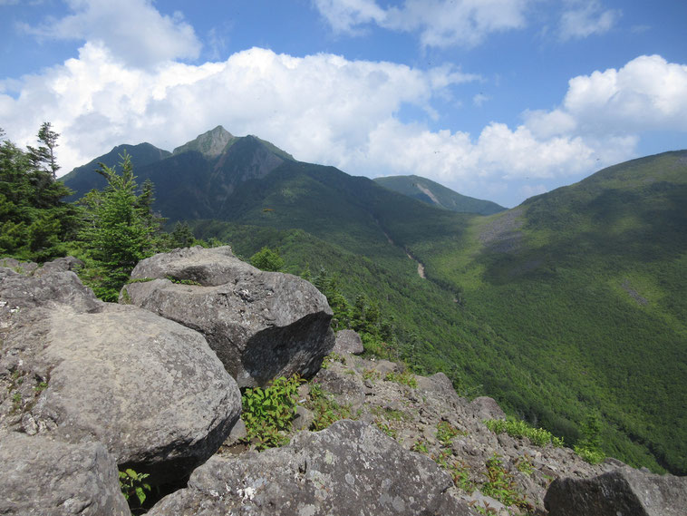 西岳から権現岳の眺め
