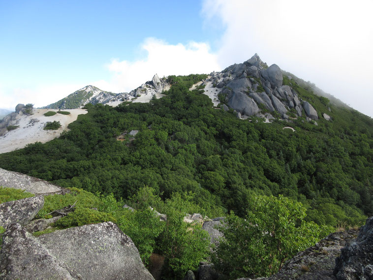 かなり長く感じた樹林帯を抜け、初めて目にする鳳凰三山稜線の山 薬師岳