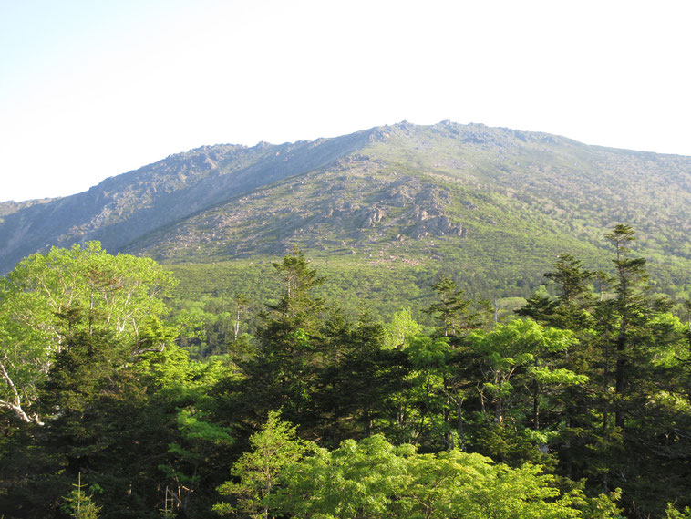 朝の日を浴びてくっきりと姿を表した早池峰山