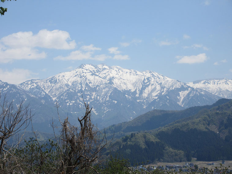 塩沢石打から見た巻機山(まきはたやま)