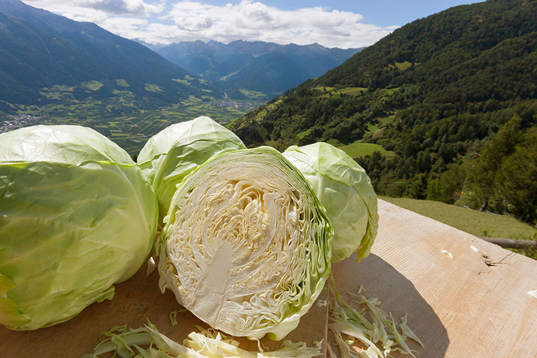 Erntedank im "Südtiroler Gasthaus" - Festa del raccolto nella "Locanda sudtirolese" - Gourmet Südtirol