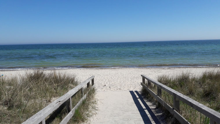 "Wege entstehen dadurch, dass man sie geht!" F. Kafka