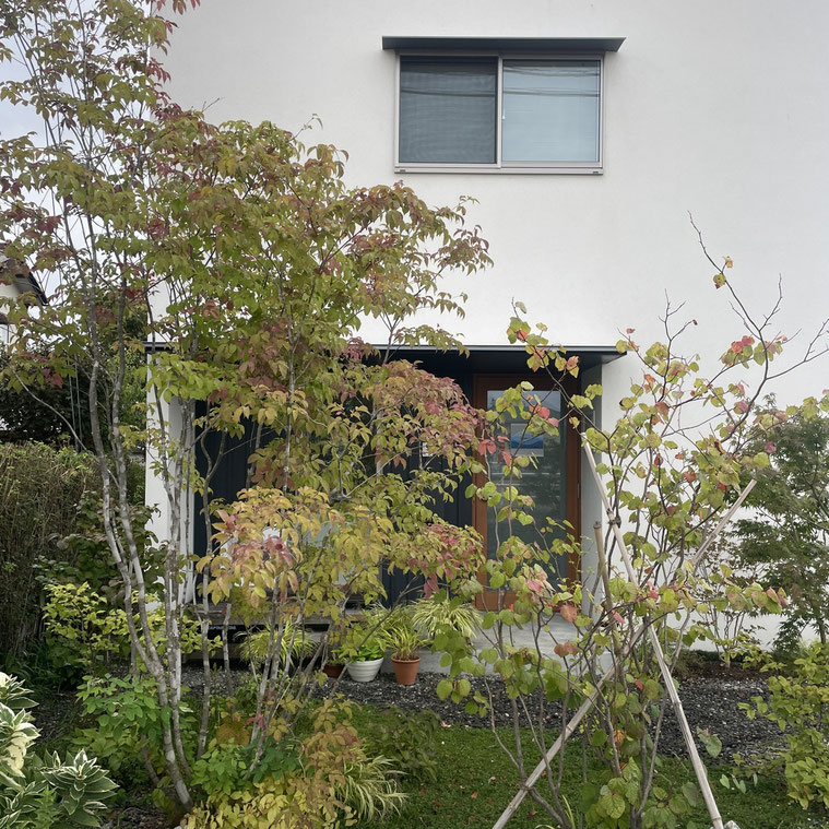 長野県　松本市　建築設計事務所　建築家　news設計室　丸山和男　住宅設計　事務所　植栽　事務所夕景　秋の気配