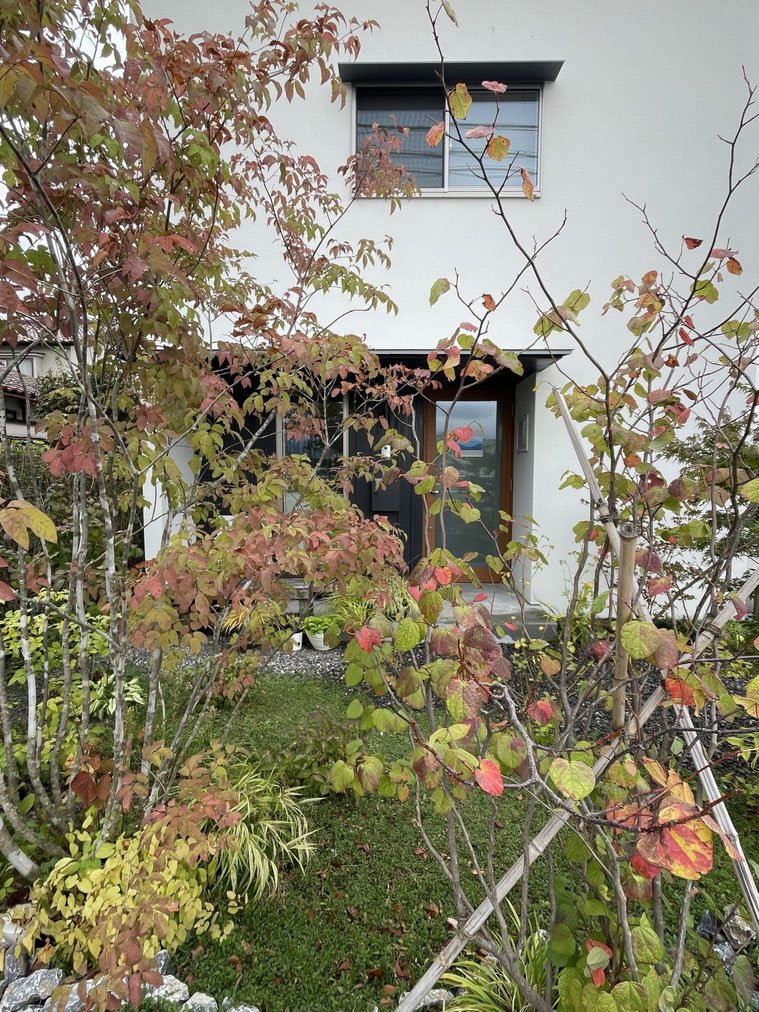 長野県　松本市　建築設計事務所　建築家　news設計室　丸山和男　住宅設計　事務所　植栽　事務所夕景　秋　紅葉