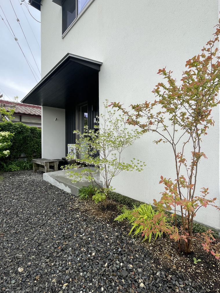 長野県　松本市　建築設計事務所　建築家　news設計室　丸山和男　住宅設計　事務所　植栽　事務所庭　新緑