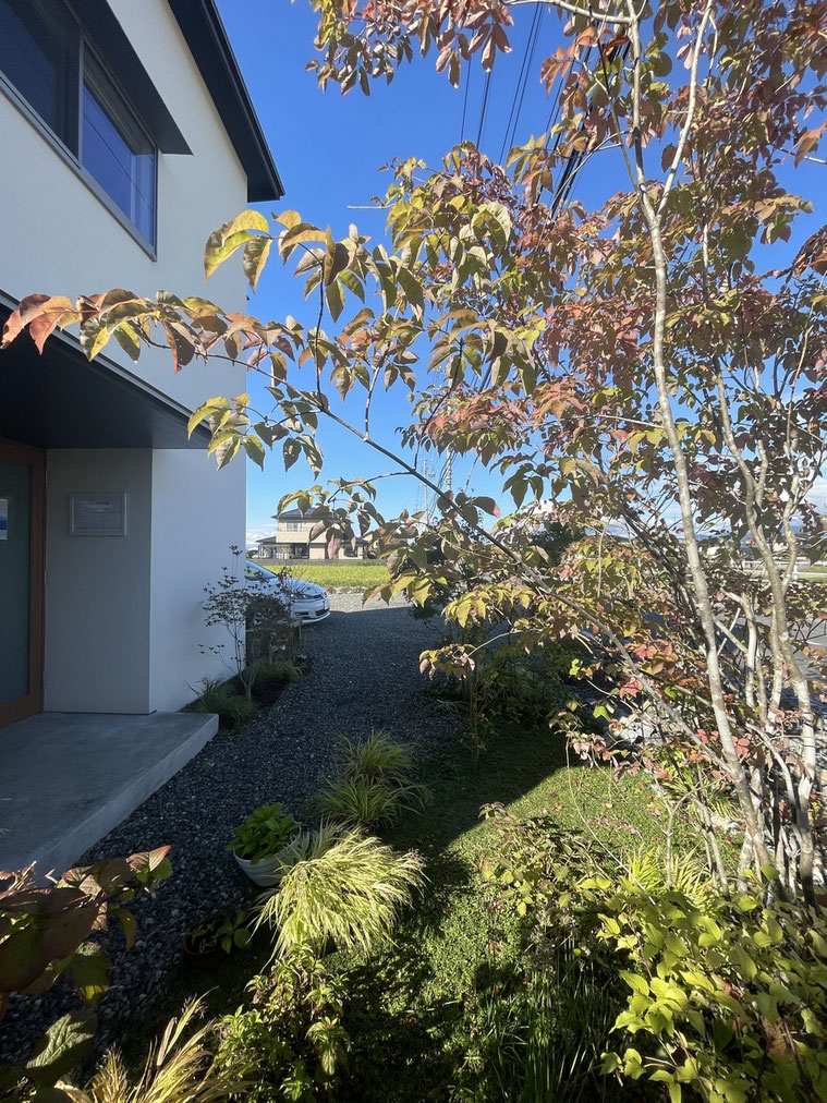 長野県　松本市　建築設計事務所　建築家　news設計室　丸山和男　住宅設計　事務所　植栽　事務所夕景　秋　紅葉