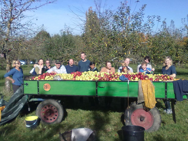 In obstreichen Jahren wird die Ernte zum Gemeinschaftsprojekt – und der Saft anschließend über den BUND verkauft