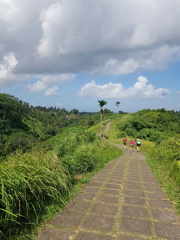 El paseo