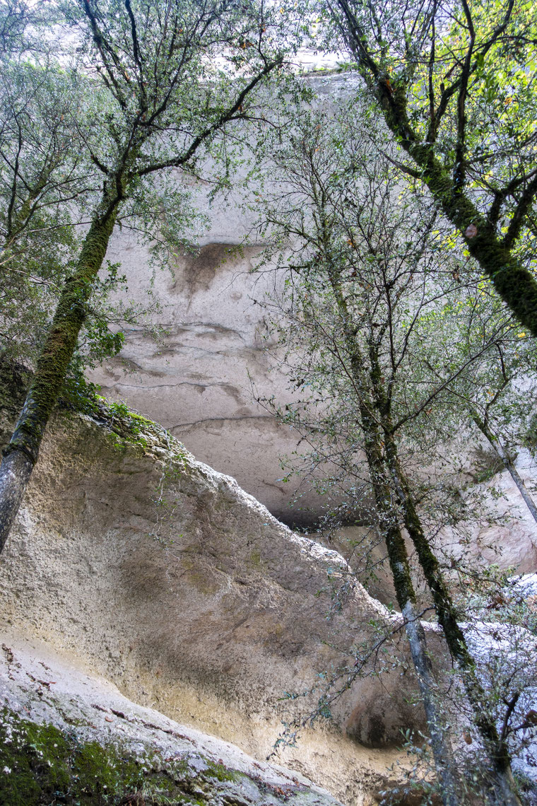 Verdon randonnée de l'imbut avis