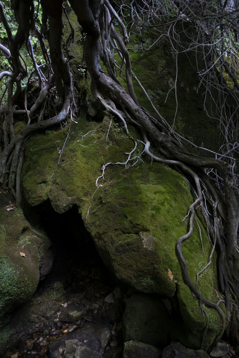 se baigner dans des vasques naturelles 