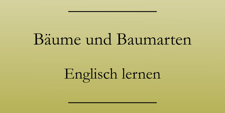 Bäume auf Englisch