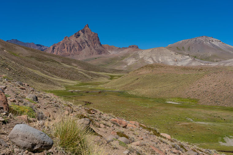 Panoramastraße Ruta Provincial 41, Monte Zeballos