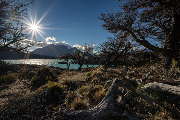 Perito Moreno Nationalpark