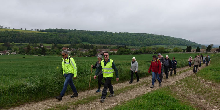 Baulne-en-Brie compte de nombreux chemins de randonnée. ©Photo/Axomois Production
