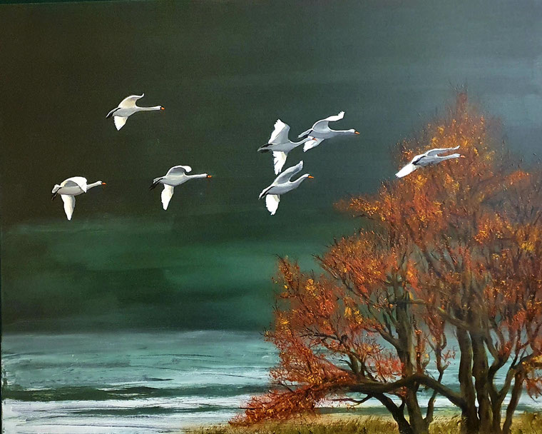 Der Heimflug der Schwäne