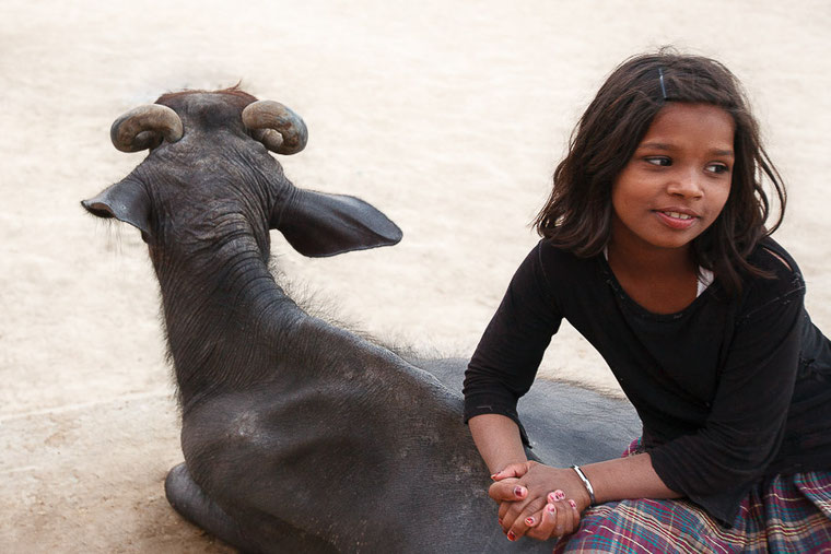 Girl seeting on buffalo in Varanasi - Une fille assise sur un buffle à Varanasi.