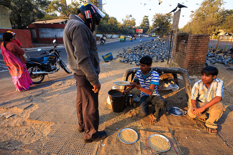 A man buying seed to feed a pigeons in New Delhi. Un homme achète des graines pour nourrir des pigeons à New Delhi.