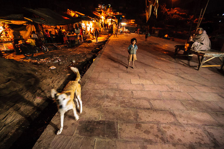 Dog, India, street, night, chien, Inde, rue,
