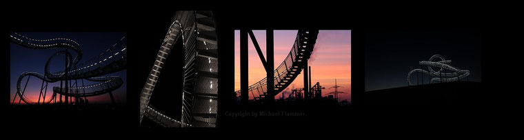 Tiger and Turtle - Copyright by M. Flammer