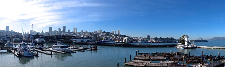 San Francisco panorama