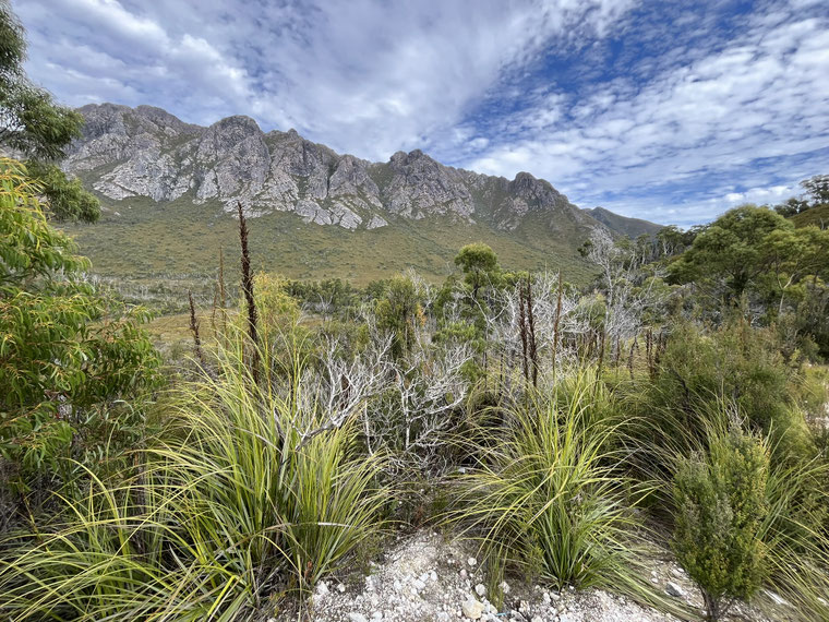 Rundreise Tasmanien