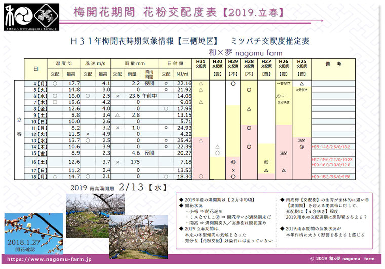 梅開花期花粉交配度推定表【2019立春】　和×夢 nagomu farm