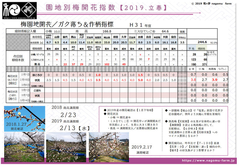 園地別梅開花指数【2019立春】　和×夢 nagomu farm