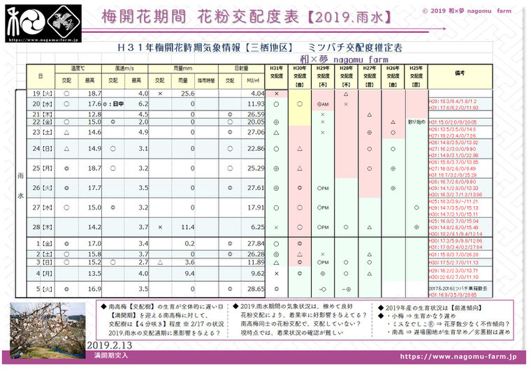 梅開花期花粉交配度推定表【2019雨水】　和×夢 nagomu farm