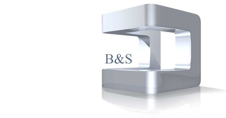 Distribuidora B&S Mexicana