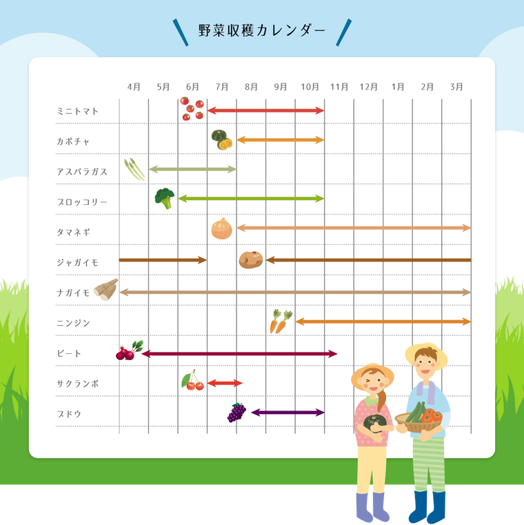北海道の野菜収穫カレンダー