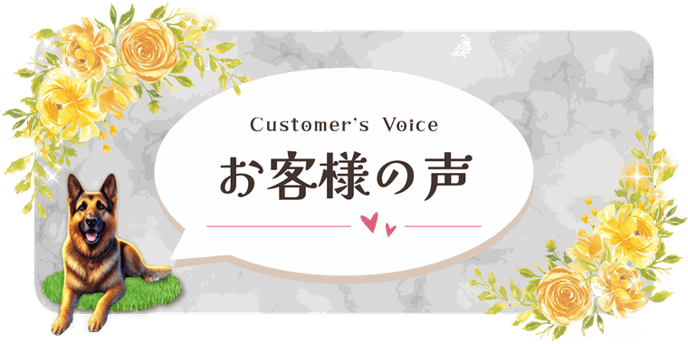 画像｜タイトル＿お客様の声-customer's Voice-