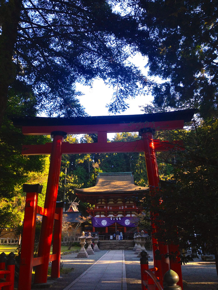 丹生都比売神社